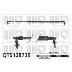 Cargo Area Gas Spring QUINTON HAZELL QTS128739 OE Ref 04894554AB