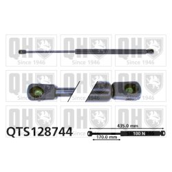 Rear Window Gas Spring QUINTON HAZELL QTS128744 OE Ref 8717026010