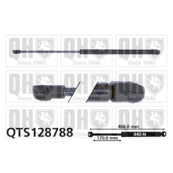 Cargo Area Gas Spring QUINTON HAZELL QTS128788 OE Ref 6895002040