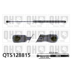 Cargo Area Gas Spring QUINTON HAZELL QTS128815 OE Ref 4378216