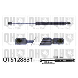 Bonnet Gas Spring QUINTON HAZELL QTS128831 OE Ref 2088800029