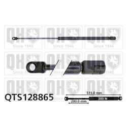 Cargo Area Gas Spring QUINTON HAZELL QTS128865 OE Ref 251829331B