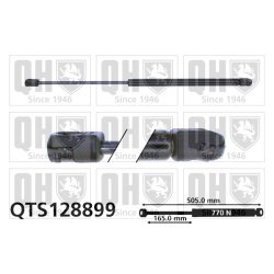 Cargo Area Gas Spring QUINTON HAZELL QTS128899 OE Ref 1T0827550A