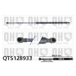Cargo Area Gas Spring QUINTON HAZELL QTS128933