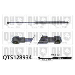 Cargo Area Gas Spring QUINTON HAZELL QTS128934 OE Ref 04741SAA000
