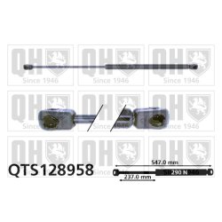 Cargo Area Gas Spring QUINTON HAZELL QTS128958 OE Ref 904504F110