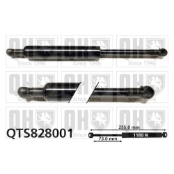 Cargo Area Gas Spring QUINTON HAZELL QTS828001 OE Ref 50508010
