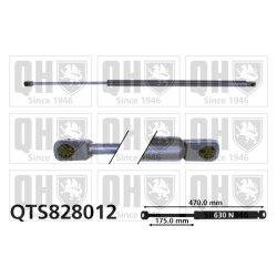 Cargo Area Gas Spring QUINTON HAZELL QTS828012 OE Ref 8J8827552