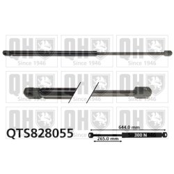Cargo Area Gas Spring QUINTON HAZELL QTS828055