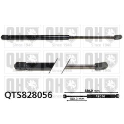 Cargo Area Gas Spring QUINTON HAZELL QTS828056 OE Ref 46817935
