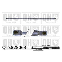 Cargo Area Gas Spring QUINTON HAZELL QTS828063 OE Ref 6399800164