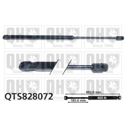 Cargo Area Gas Spring QUINTON HAZELL QTS828072 OE Ref 51249801386