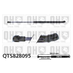 Cargo Area Gas Spring QUINTON HAZELL QTS828095 OE Ref 6J4827550