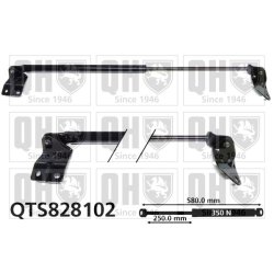 Cargo Area Gas Spring QUINTON HAZELL QTS828102 OE Ref 81850M70F10