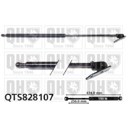 Cargo Area Gas Spring QUINTON HAZELL QTS828107 OE Ref 8180062830