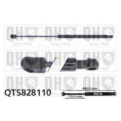 Cargo Area Gas Spring QUINTON HAZELL QTS828110