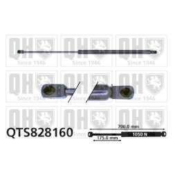 Cargo Area Gas Spring QUINTON HAZELL QTS828160 OE Ref 1401103980