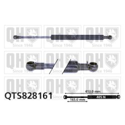 Cargo Area Gas Spring QUINTON HAZELL QTS828161 OE Ref 68950B1031