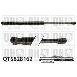 Cargo Area Gas Spring QUINTON HAZELL QTS828162 OE Ref 51785412