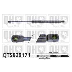Cargo Area Gas Spring QUINTON HAZELL QTS828171 OE Ref 817700X000
