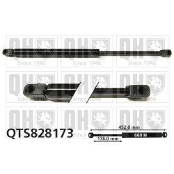 Cargo Area Gas Spring QUINTON HAZELL QTS828173 OE Ref 817700W002