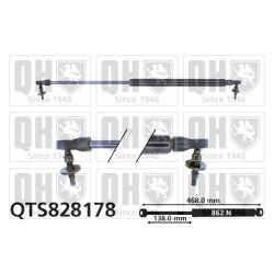 Cargo Area Gas Spring QUINTON HAZELL QTS828178 OE Ref 55137022AA