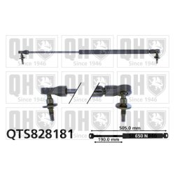 Cargo Area Gas Spring QUINTON HAZELL QTS828181 OE Ref 55394322AA