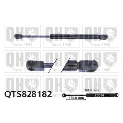 Rear Window Gas Spring QUINTON HAZELL QTS828182 OE Ref 55394245AB