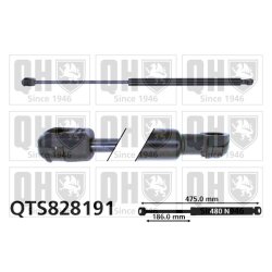 Cargo Area Gas Spring QUINTON HAZELL QTS828191 OE Ref 46830389