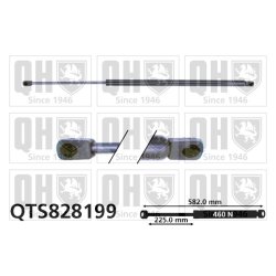 Cargo Area Gas Spring QUINTON HAZELL QTS828199