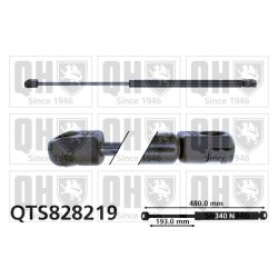 Cargo Area Gas Spring QUINTON HAZELL QTS828219 OE Ref 132532
