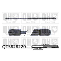 Cargo Area Gas Spring QUINTON HAZELL QTS828220 OE Ref 176413