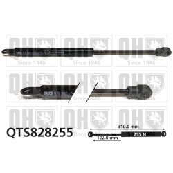 Rear Window Gas Spring QUINTON HAZELL QTS828255