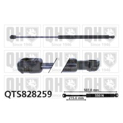 Cargo Area Gas Spring QUINTON HAZELL QTS828259 OE Ref 8731Q0