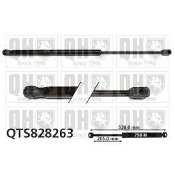 Cargo Area Gas Spring QUINTON HAZELL QTS828263 OE Ref 8731Q8