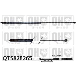 Cargo Area Gas Spring QUINTON HAZELL QTS828265 OE Ref 8731W4