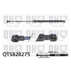 Cargo Area Gas Spring QUINTON HAZELL QTS828275 OE Ref 8731S0