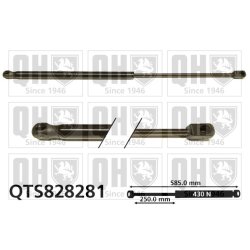 Cargo Area Gas Spring QUINTON HAZELL QTS828281