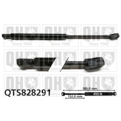Cargo Area Gas Spring QUINTON HAZELL QTS828291 OE Ref 8200385560
