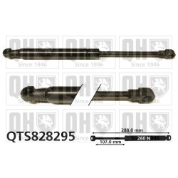 Cargo Area Gas Spring QUINTON HAZELL QTS828295