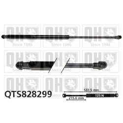 Rear Window Gas Spring QUINTON HAZELL QTS828299