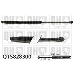 Rear Window Gas Spring QUINTON HAZELL QTS828300