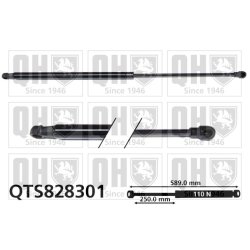 Rear Window Gas Spring QUINTON HAZELL QTS828301