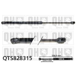 Cargo Area Gas Spring QUINTON HAZELL QTS828315 OE Ref 8X4827552