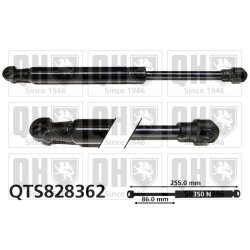 Cargo Area Gas Spring QUINTON HAZELL QTS828362 OE Ref 8P7827552C