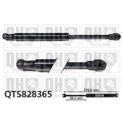 Cargo Area Gas Spring QUINTON HAZELL QTS828365 OE Ref BMH38003