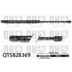 Cargo Area Gas Spring QUINTON HAZELL QTS828369 OE Ref 74820TL4G01