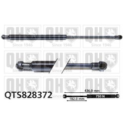 Cargo Area Gas Spring QUINTON HAZELL QTS828372 OE Ref 844307620R