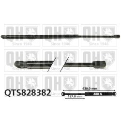 Cargo Area Gas Spring QUINTON HAZELL QTS828382 OE Ref LR025379