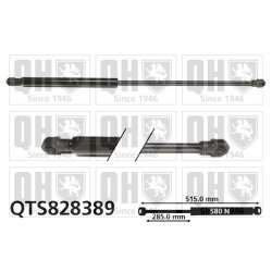 Cargo Area Gas Spring QUINTON HAZELL QTS828389 OE Ref BHE760020